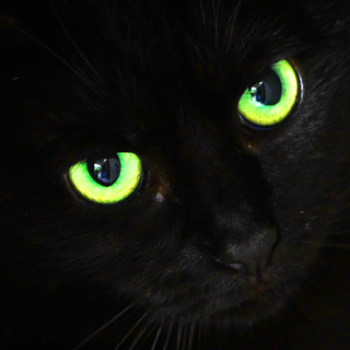 Freitag der 13. - Unglückstage und Aberglaube weltweit. Was dagegen hilft