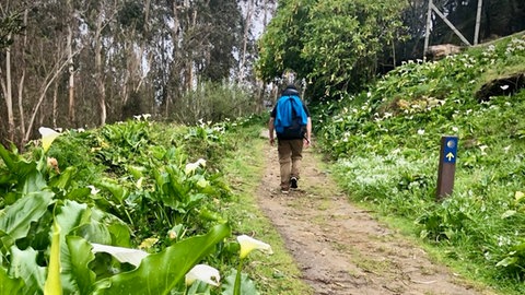 SWR1 Redakteur und Moderator Patrick Schütz auf dem "Caminho Português" im März 2025.