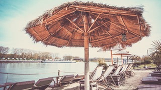 Strandbar443 in Worms | Strandbars in Rheinland-Pfalz