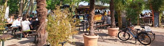 Beachbar Lambsheim | Strandbars in Rheinland-Pfalz