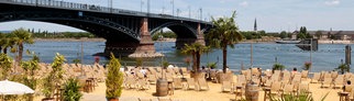 Strandbar Mainzstrand | Strandbars in Rheinland-Pfalz