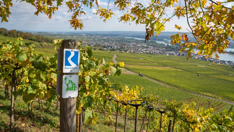 Wegmarkierung des Fernwanderwegs Rheinsteig in Deutschland mit Weinbergen im Hintergrund
