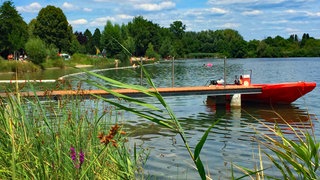 Das grün-blaue Wasser wird von grünem Schilf umrahmt. Der Blausee im Rhein-Neckar-Kreis ist ein gutes Ausflugsziel für die ganze Familie oder für den Urlaub in Baden-Württemberg.