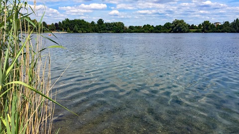 Das Wasser im Blausee im Rhein-Neckar-Kreis ist blau und wird von Schilf umrahmt. Der See ist 750 Meter lang und gut 500 Meter breit und eignet sich als Ausflugsziel für den Urlaub in Baden-Württemberg.