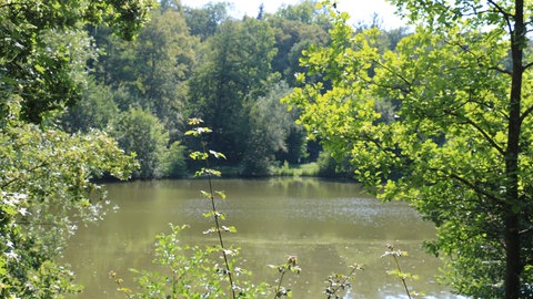 Die Bürgerseen bei Kirchheim unter Teck