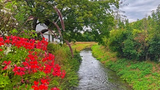 Eine Brücke führt über den Kraichbach. Tipp für den Urlaub auf dem Rad: Der Kraichradweg führt über 65 Kilometer vom Naturpark Stromberg-Heuchelberg über den Kraichgau bis in die Rheinebene.