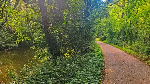 Ein Radweg entlang der Rems im grünen Wald. Der Remstalradweg führt über 100 Kilometern von Weinstadt-Endersbach über Remseck am Neckar zu den Ausläufern der Ostalb in Aalen.