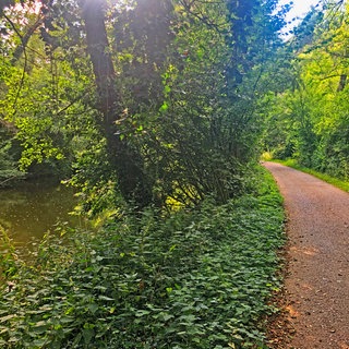 Ein Radweg entlang der Rems im grünen Wald. Der Remstalradweg führt über 100 Kilometern von Weinstadt-Endersbach über Remseck am Neckar zu den Ausläufern der Ostalb in Aalen.