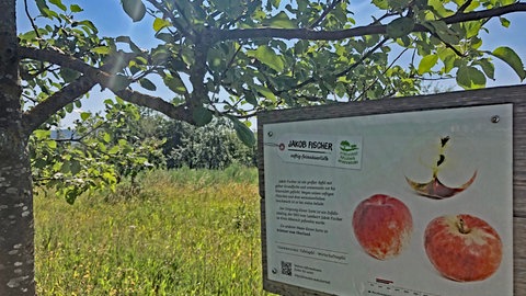 Streuobst Erlebnisweg Gültstein