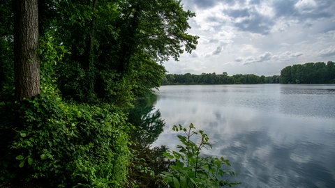 Ufer des Baggersees Grötzingen. Wir empfehlen 10 schöne Hundestrände in Baden-Württemberg zum Baden mit Hund.