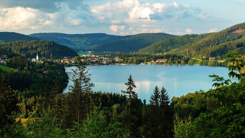 Titisee von oben. Wir empfehlen 10 schöne Hundestrände in Baden-Württemberg zum Baden mit Hund.