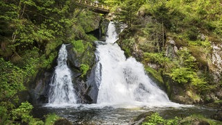 Zwischen Bäumen und Gebüsch rauscht das Wasser herunter. Über dem Wasserfall hängt eine Brücke; ein Mensch schaut hinunter.