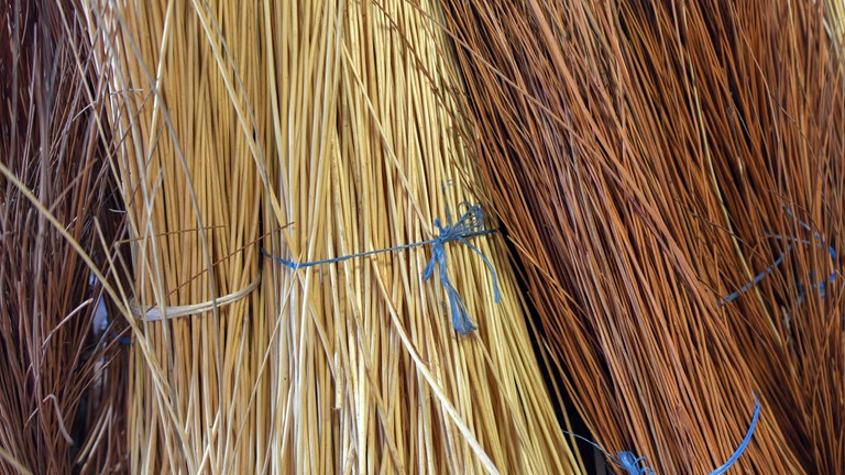 Weidenruten
