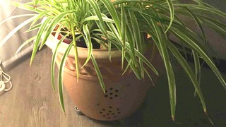 Blumentopf aus alten Lautsprechern