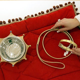 Eine Mitarbeiterin in einer Boutique für exklusive Hunde-Accessoires in Hamburg arrangiert einen ausgefallenen Fressnapf, ein goldenes Halsband und ein handgefertigtes Hundekissen aus Italien.