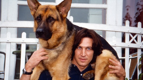 Bilder zum Artikel "Der Schäferhund" 