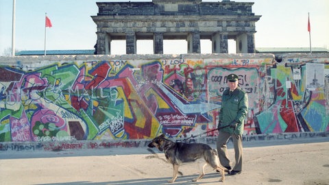 Bilder zum Artikel "Der Schäferhund" 