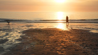 Ferieninsel Sylt, Frau mit Hund 