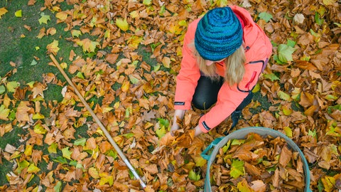 Eine Frau entfernt Laub von einer Wiese in einem Garten und füllt die Blätter in einen Eimer.