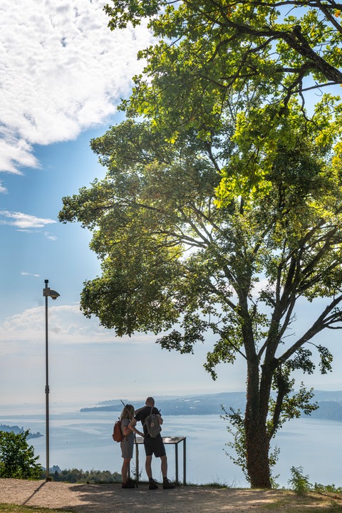 Zwei Wanderer stehen am Aussichtspunkt Haldenhof neben einem hohen Baum und blicken auf den Bodensee.