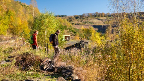 Zwei Wanderer laufen auf der Stöffel-Route durch den herbstlichen Westerwald.