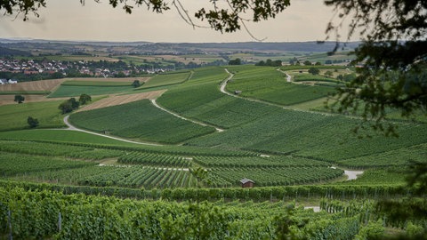 Kraichgau-Stromberg: Blick auf die Weinberge und den Ort Sulzfeld
