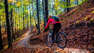 Fahrradfahrer fährt im Herbst durch den Wald