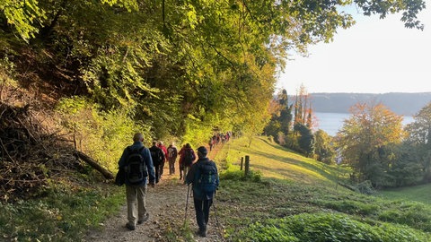 Wanderer laufen einen Wanderweg im Herbst hinab, der zum Bodensee führt.
