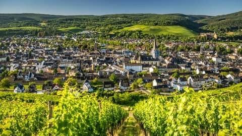 Wandern im Ahrtal: Blick von den Weinbergen auf die Altstadt von Ahrweiler