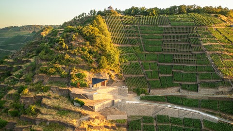 Blick von oben auf die Flutkapelle und den Aussichtspunkt "Bunte Kuh" mitten in den Weinbergen im Ahrtal.