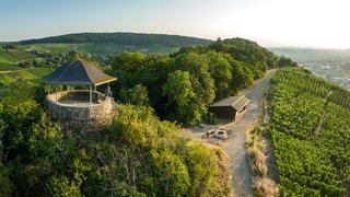 Perfekt für Wandernde: Der Aussichtspunkt "Bunte Kuh" oberhalb der Weinberge bietet einen tollen Ausblick über das Ahrtal.