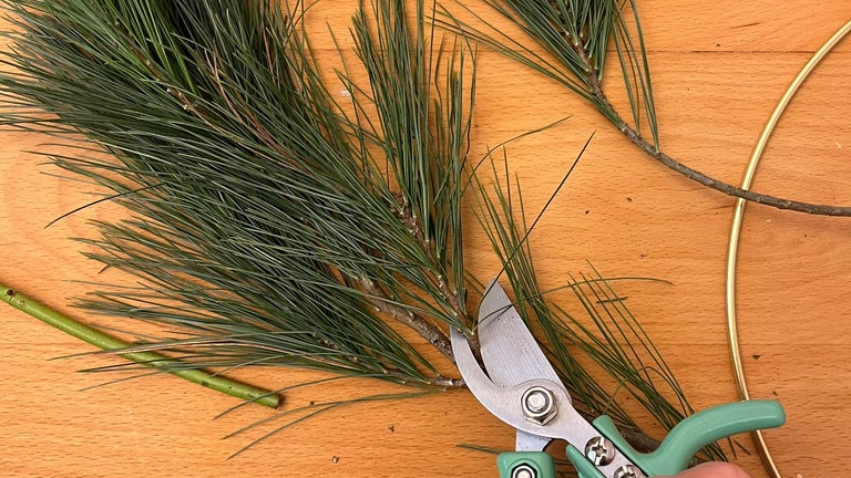 Die Zweige sollten eine Länge von  etwa 10–15 cm haben. So lassen sie sich später einfacher bündeln und am Ring befestigen.