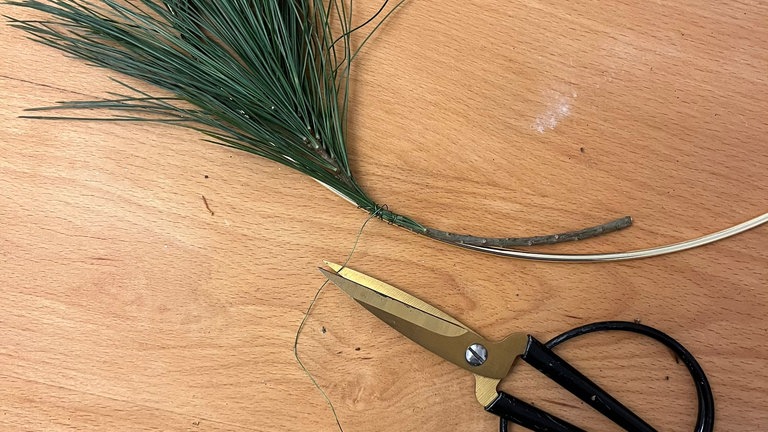 Mit einem kleinen Bündel Seidenkiefer beginnen: Dieses wird an Ring gelegt und mit Wickeldraht fest umschlungen. 