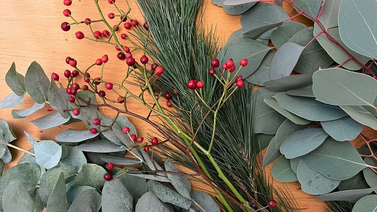 Die Zweige von Seidenkiefer, Eukalyptus und Hagebutten in kleinere Stücke schneiden.