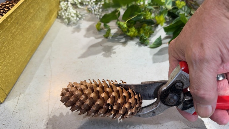 Die Fichtenzapfen mit einer Rebschere längs durchschneiden.