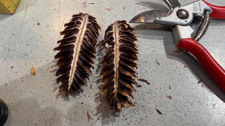 Das Ganze sieht dann so aus!