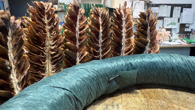 Mit den anderen Zapfenhälften genauso verfahren bis man einmal um den Strohrömer rum ist.