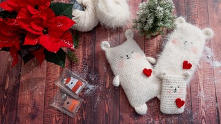 Eisbären Wärmflasche