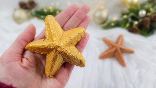 Stern aus Eierkarton