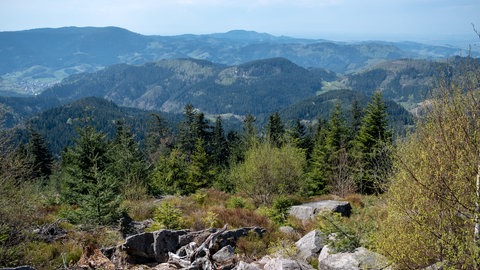 Panoramablick Schwarzwaldhochstraße