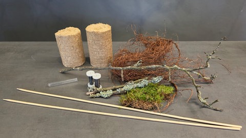 Spindeln aus Naturmaterialien