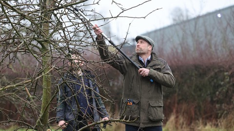 Prinz William schneidet bei einem Termin auf dem Land Bäume zurück.