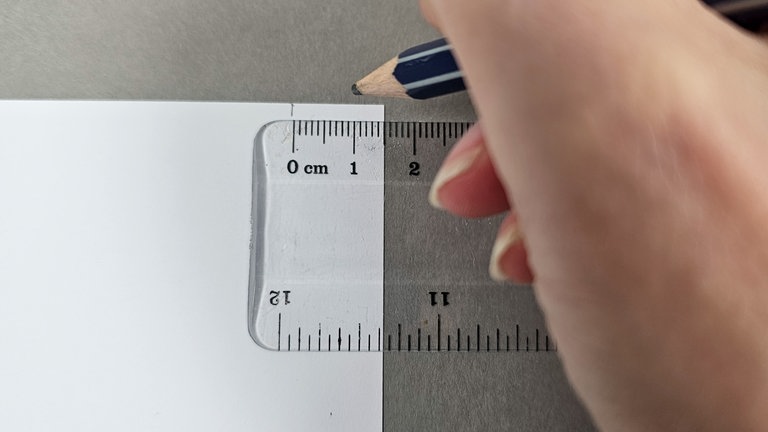 Von der langen Seite eines A4 Papiers einen 1,5 cm breiten Streifen pro Blume abschneiden.