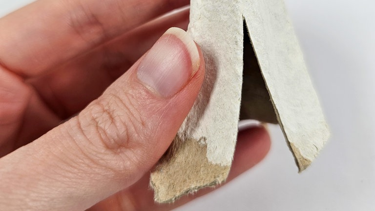 Die Zacken erst grob aus dem Eierkarton heraus schneiden.