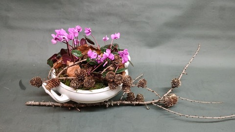 Altes Porzellan bepflanzen