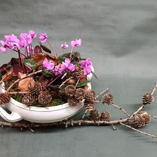 Altes Porzellan bepflanzen