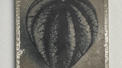 Fototransfer auf Beton