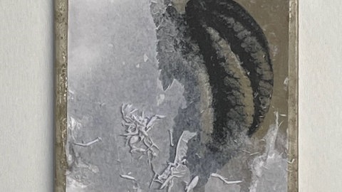 Fototransfer auf Beton
