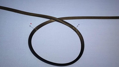 Last Minute Faschingskostüm