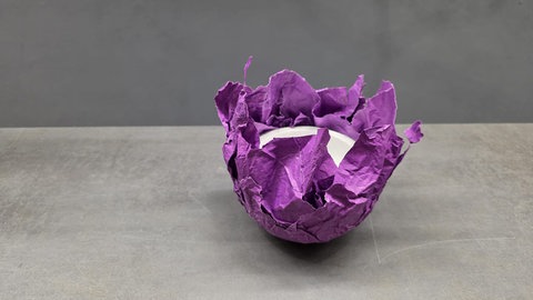 Traubenhyazinthen in Papierschale